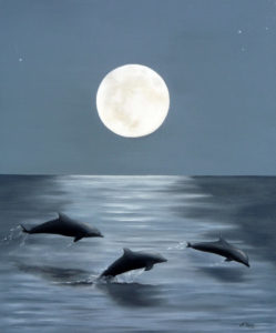 ddolphins under a full moon