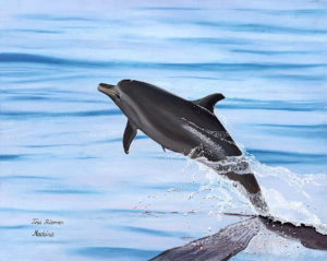 oil paining bottlenose dolphin